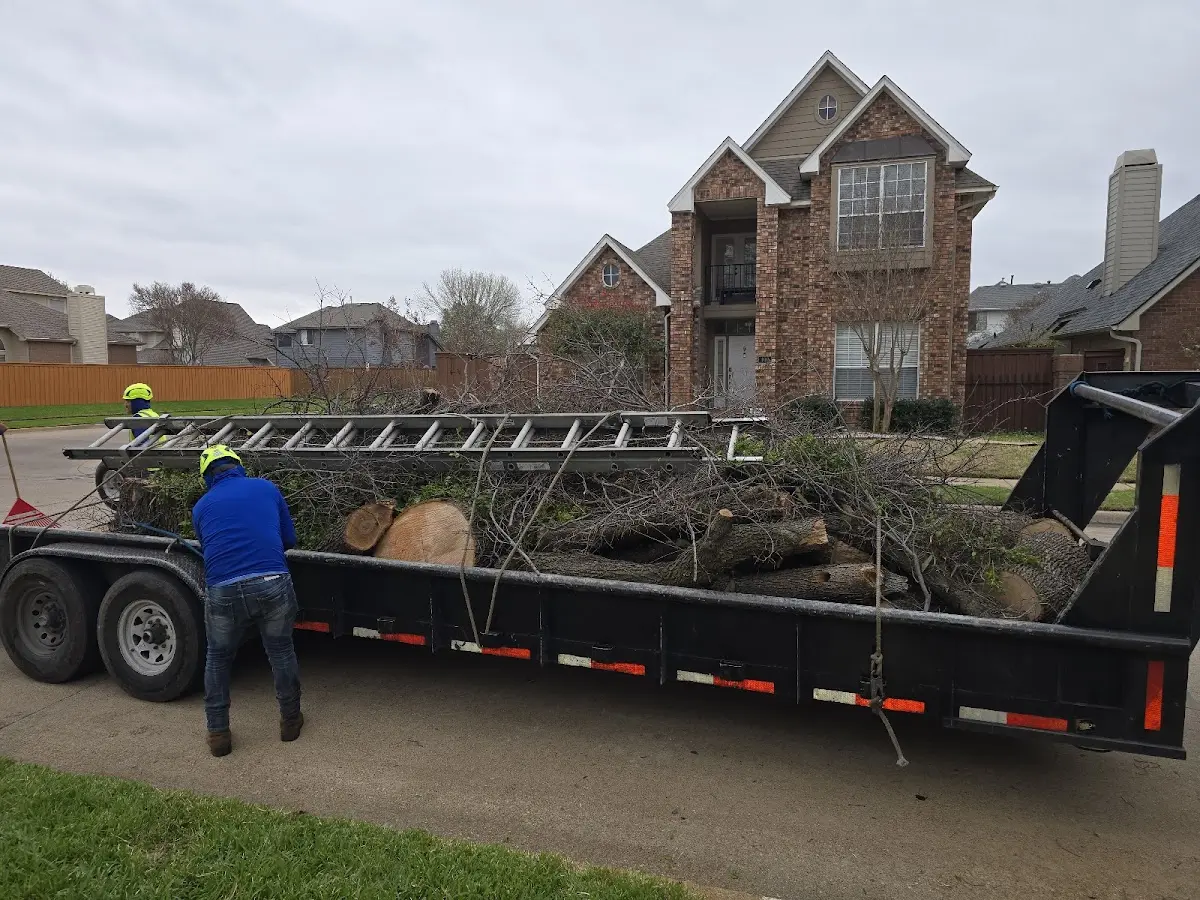 Expert Lot Clearing with proper safety equipment in Hustisford